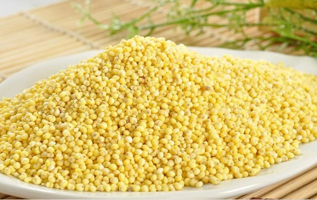厂家批发优质黄小米