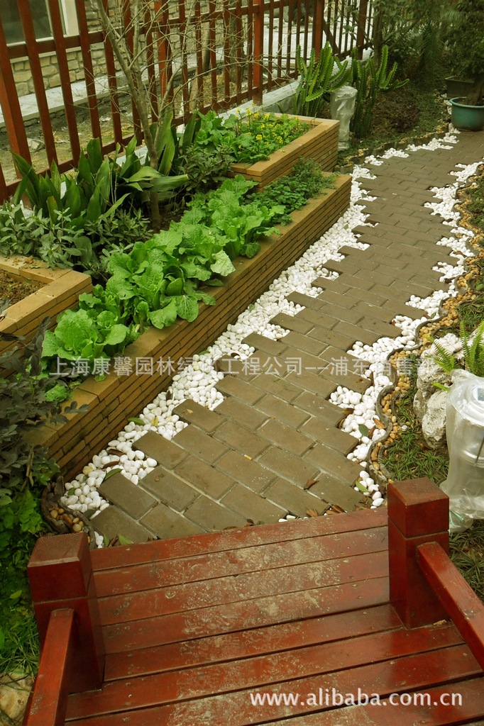 上海市别墅庭院景观绿化工程花园设计草皮厂家