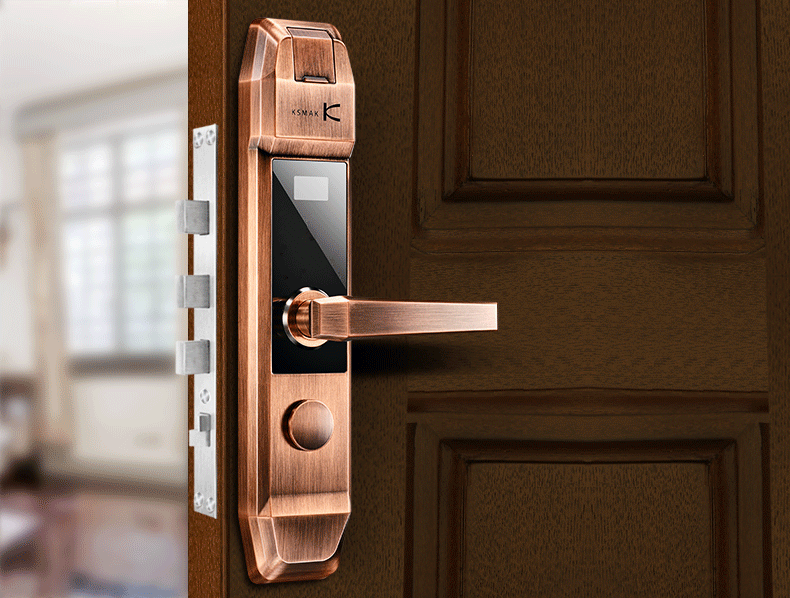 金指码指纹锁家用防盗门手机控制电子智能锁密码磁卡锁感应锁D5