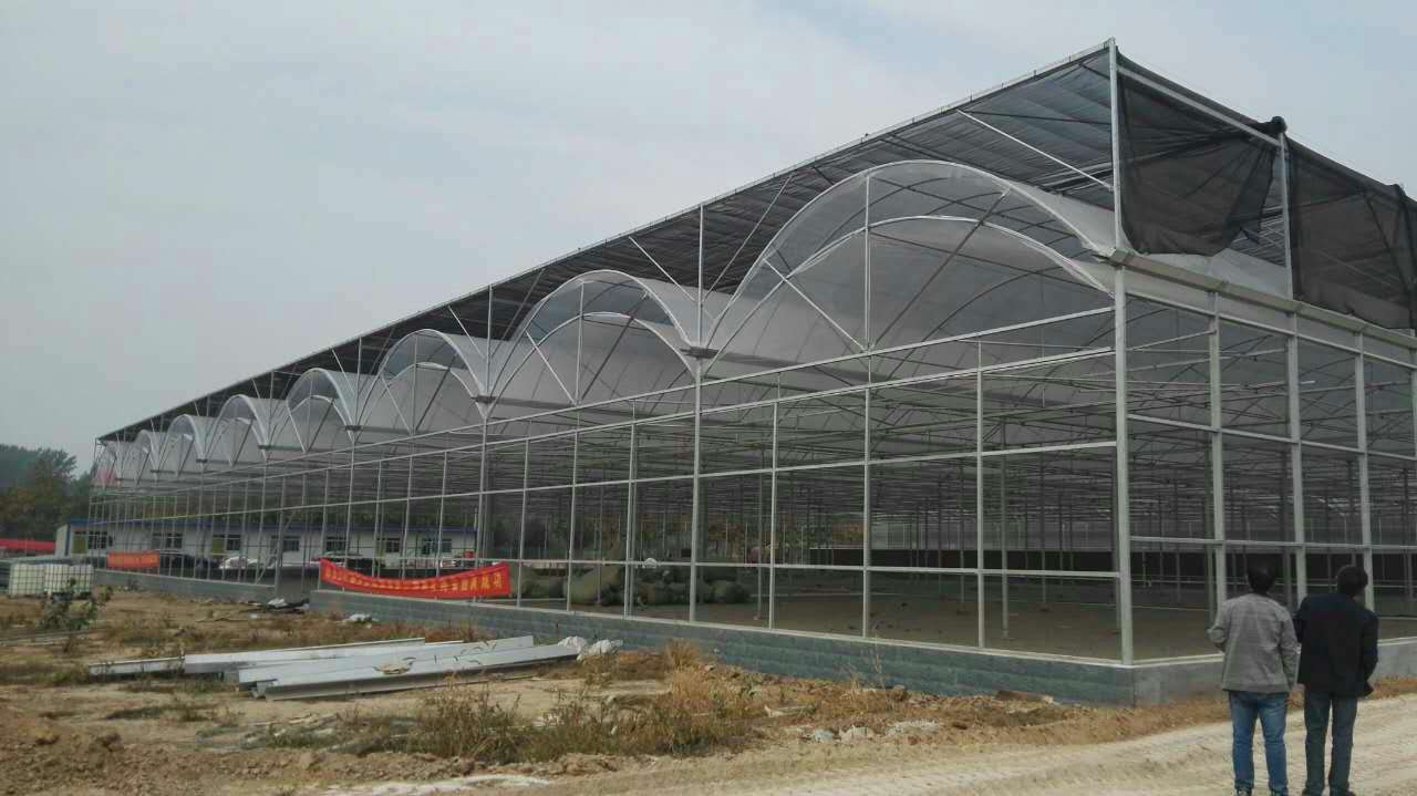 潍坊市文络式玻璃温室的建设厂家在哪里厂家文络式玻璃温室的建设厂家在哪里，玻璃温室大棚配件加工