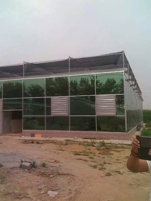 潍坊市文络式玻璃温室的建设厂家在哪里厂家