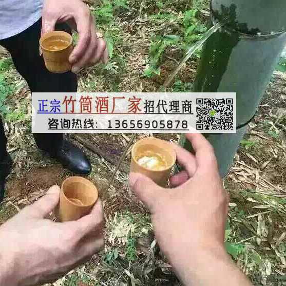 供应 竹筒酒——江苏活竹酒代理要求 江苏竹筒酒图片