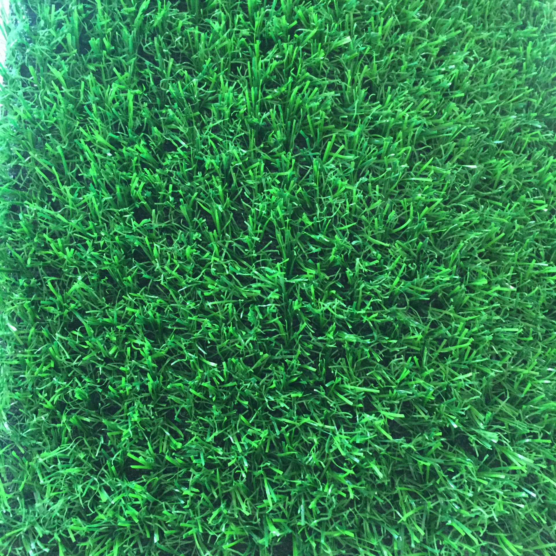 人造草坪幼儿园地毯人造假草皮仿真草坪地毯运动草坪工程草皮绿化图片
