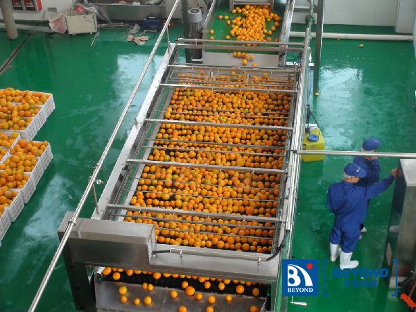 橙加工生产线，果汁生产线，水果深加工
