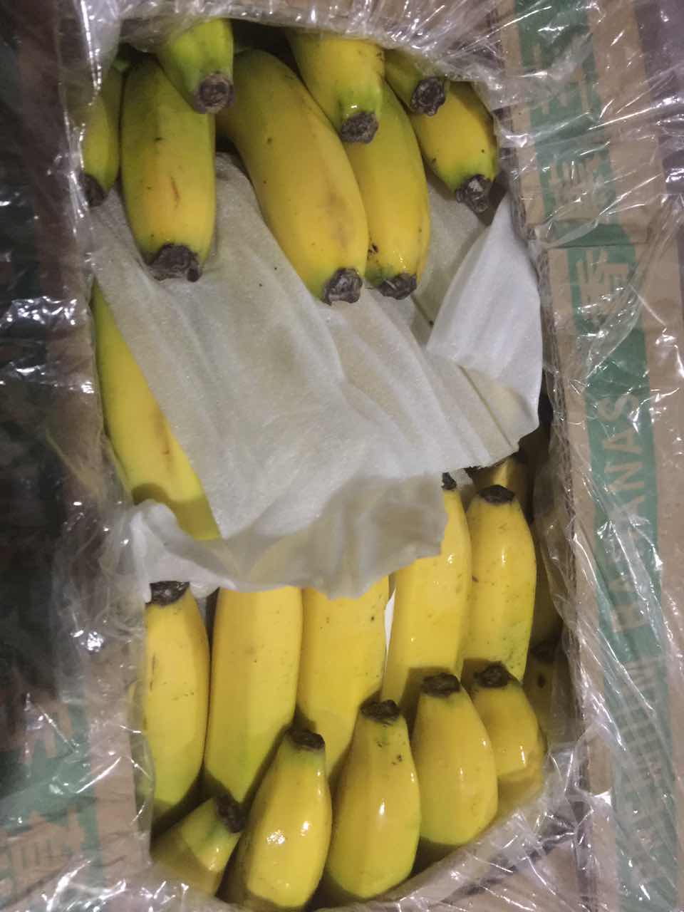 郑州水果批发   香蕉批发