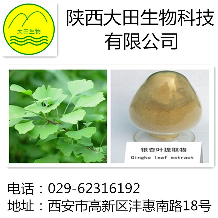 供应银杏提取物 扩张血管 调节血脂 供应优质银杏提取物24/6