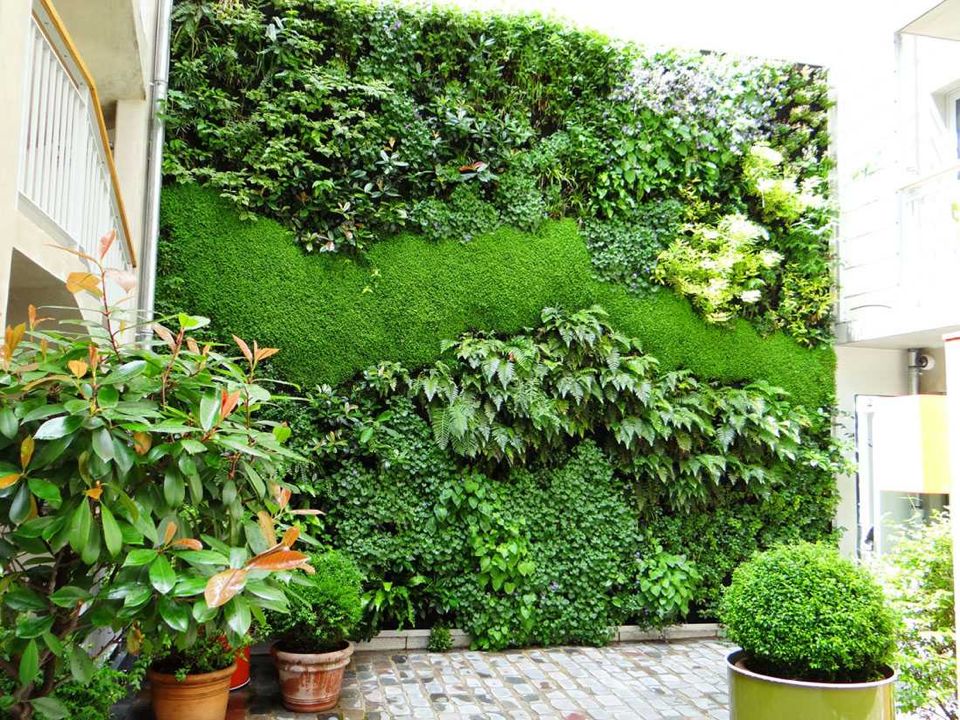 佛山市绿化墙体 植物绿墙 生态植物墙厂家植物墙 墙壁绿化 植物造型 生态绿墙 立体绿化 专业打造背景墙 绿化墙体 植物绿墙 生态植物墙