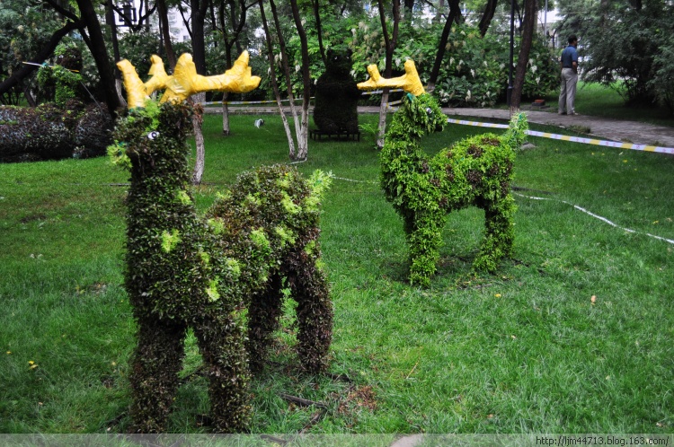 植物墙 墙壁绿化 植物造型 生态绿墙 立体绿化 专业打造背景墙 绿化墙体 植物绿墙 生态植物墙