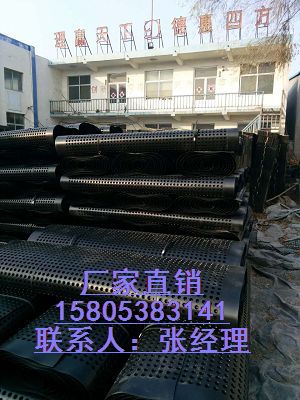 天津地下车库排水板防渗排水板土工布供应