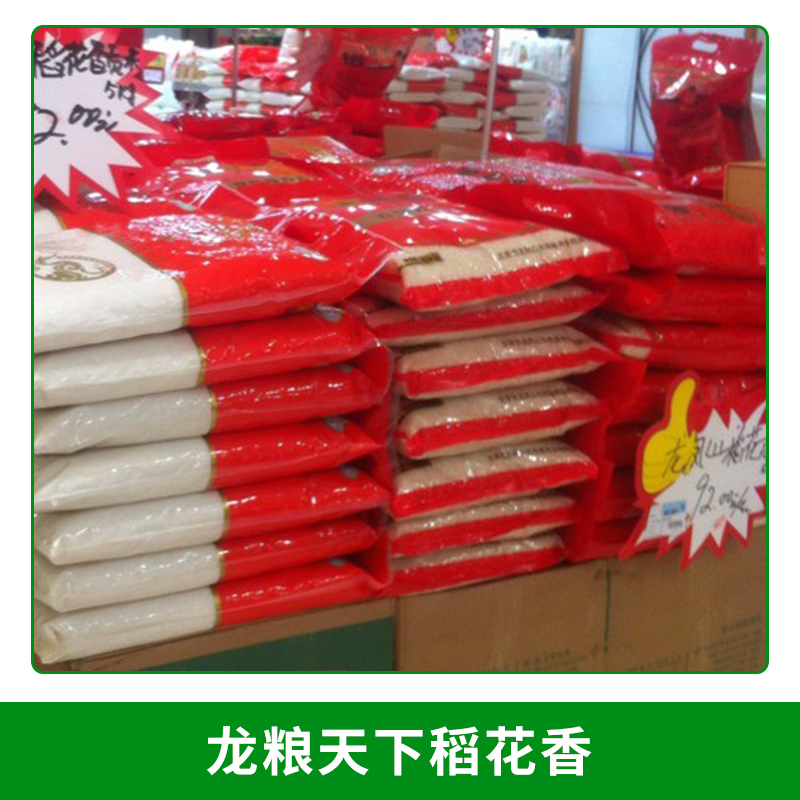 水稻种植基地 龙粮天下稻花香 有机稻花香大米5kg大米 温水大米图片