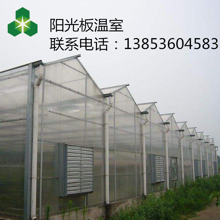 青州阳光板温室的效果 连栋阳光板温室钢管大棚建造价格和材料是什么图片