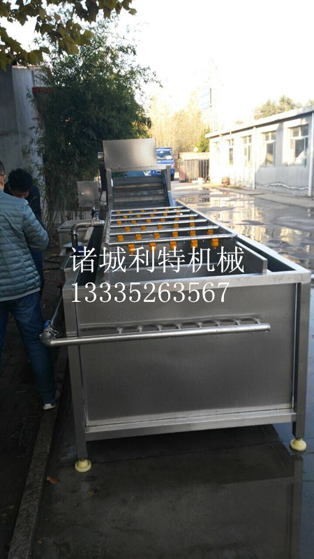 潍坊市木耳清洗设备厂家供应木耳清洗设备、木耳清洗机价格、木耳清洗机、木耳清洗机生产厂家