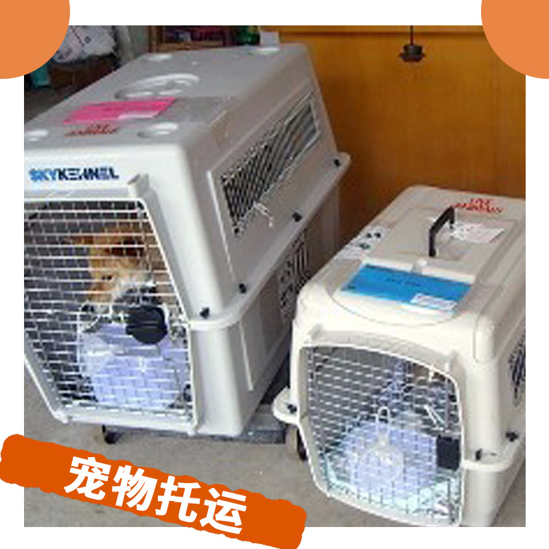 宠物从北京到台北价格-电话