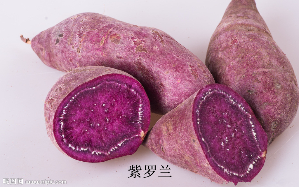 大量回收紫薯绫紫紫薯