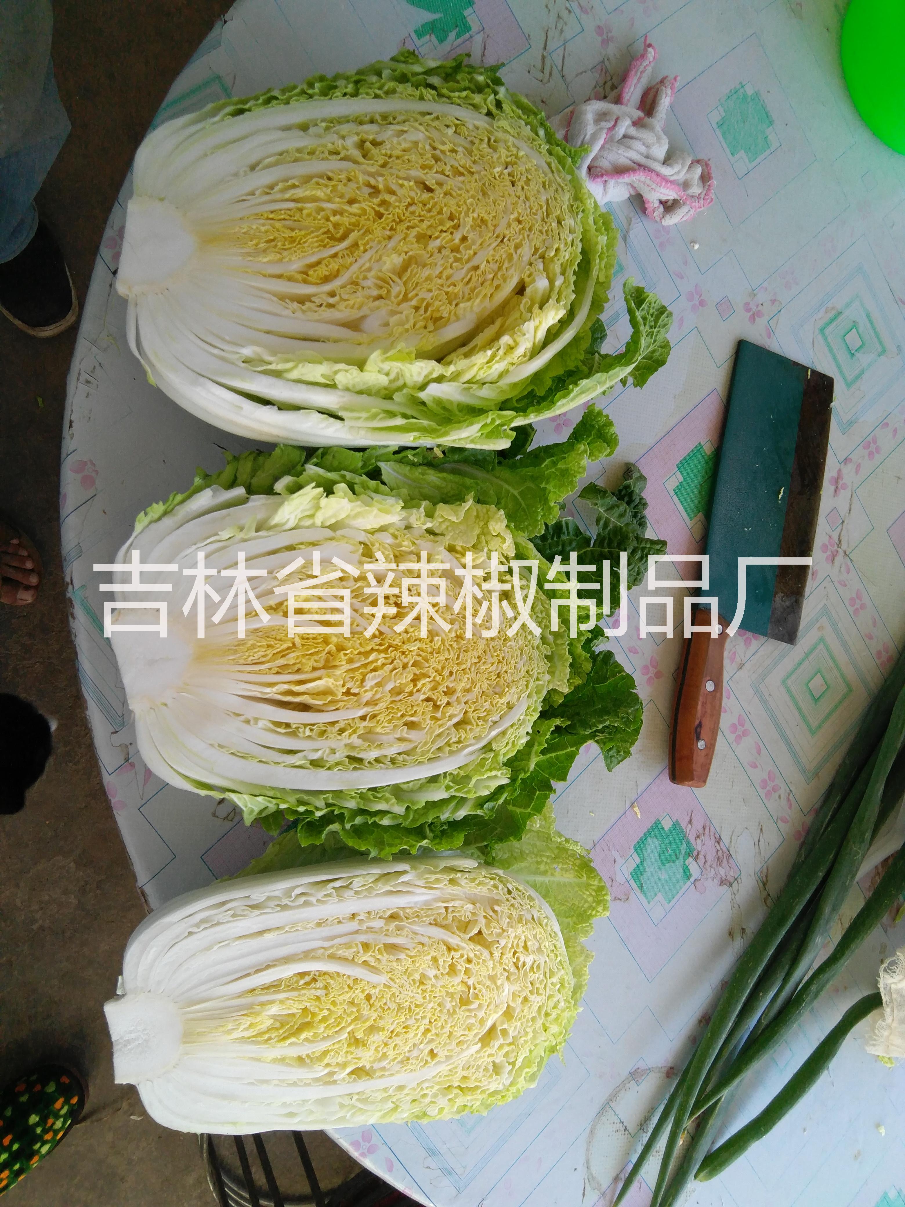 白菜黄心图片