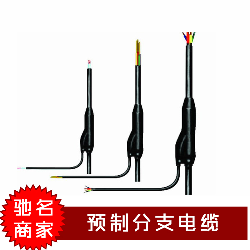 上海市上海预制分支电缆厂家