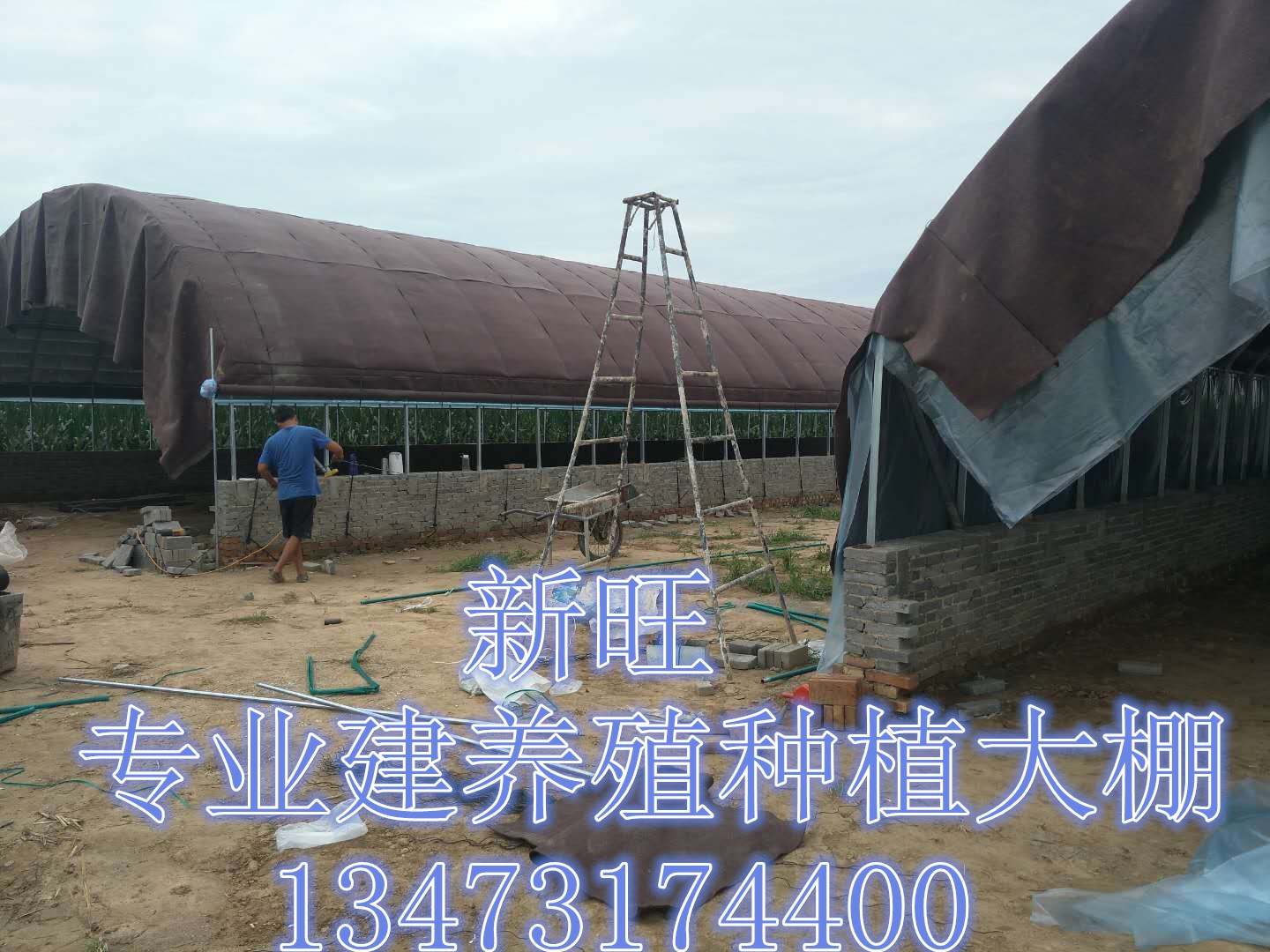 陕西新旺兴农春秋大棚生产建设陕西新旺兴农春秋大棚生产建设 8618热镀锌钢架大棚