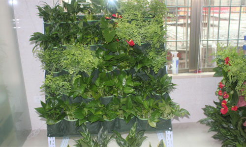 深圳立体绿化厂家 立体绿化价格 立体绿化哪家好 立体绿化图片
