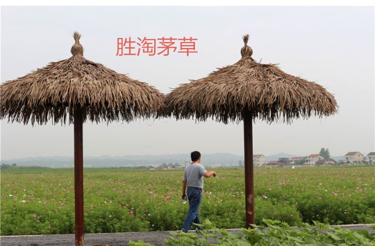 供应益阳茅草/益阳防火塑料茅草瓦价格图片