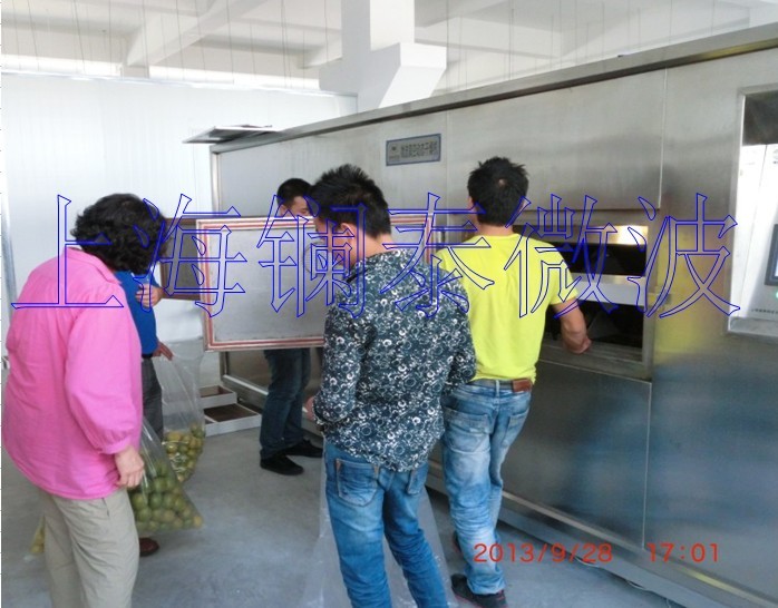 上海微波厂直销 食品低温烘干杀菌机