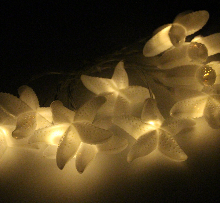 台州市LED海星造型电池灯带灯串创意厂家