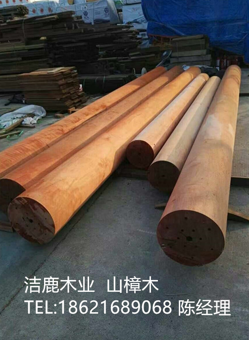 吉林厂家供应山樟木原木山樟木板材批发