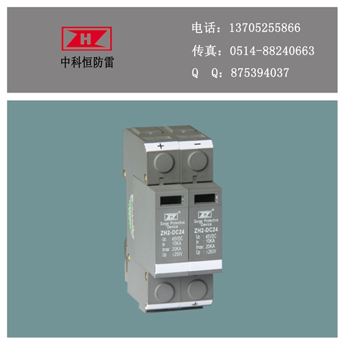 扬州市直流110v电源防雷器厂家直流110v电源防雷器 ZH2-40/2P-DC220 ZH2-D25/2P-DC110