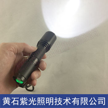YJ1010电筒_紫光照明YJ1010固态微型防爆电筒