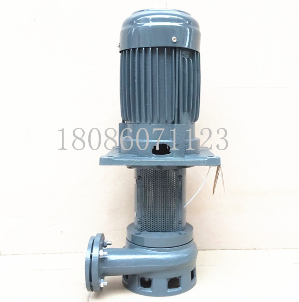 供应源立YLX流程循环泵价格 YLX350-50 立式循环增压泵 工业流程水循环泵 防爆电机泵图片