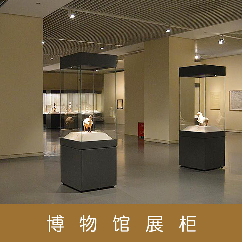 北京市博物馆展柜定做厂家