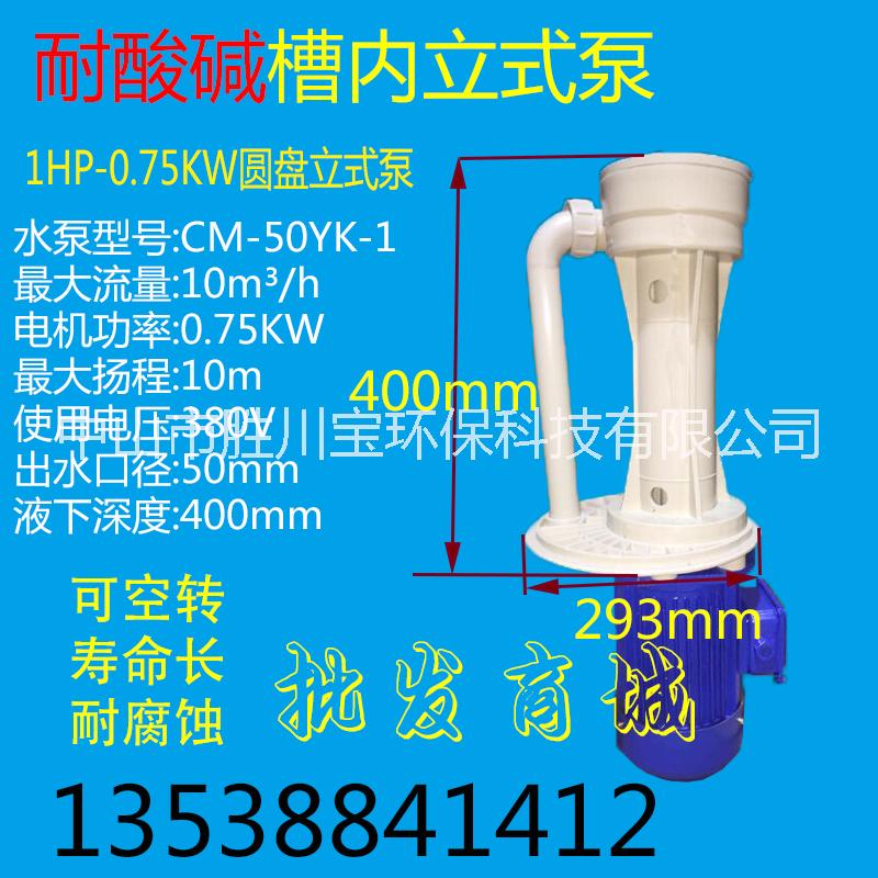 0.75KWCM-50YK-1电镀厂可空转化工立式泵（槽内泵），耐酸碱槽内泵 槽内泵 液下泵 立式泵图片