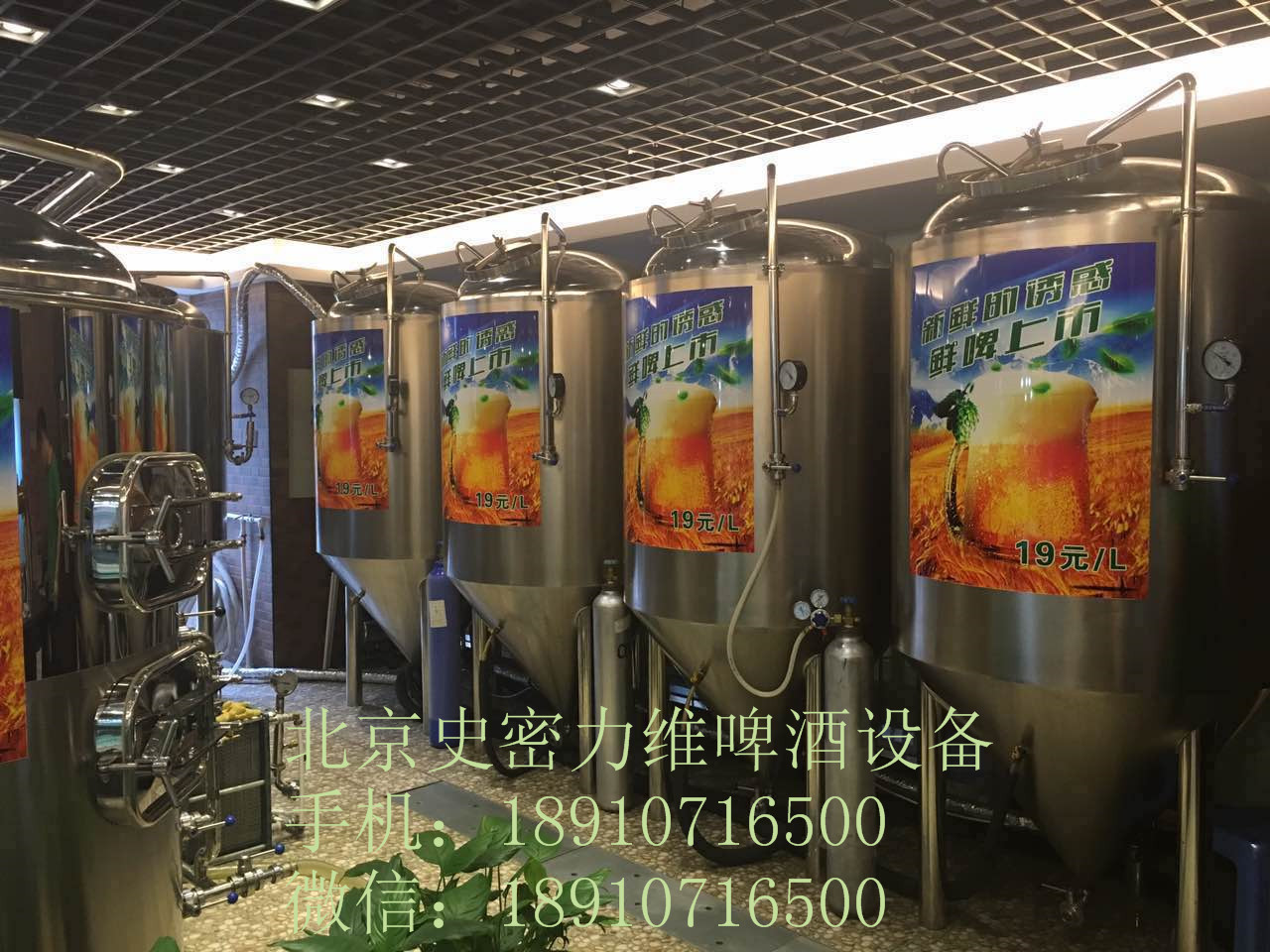 供应鲜啤酿造设备 原浆啤酒设备 酒吧啤酒设备 北京史密力维厂家直销图片
