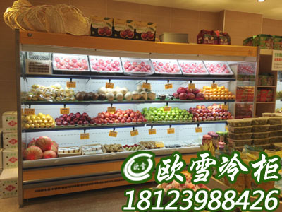 深圳市北京丰台区什么品牌超市水果冷藏柜厂家
