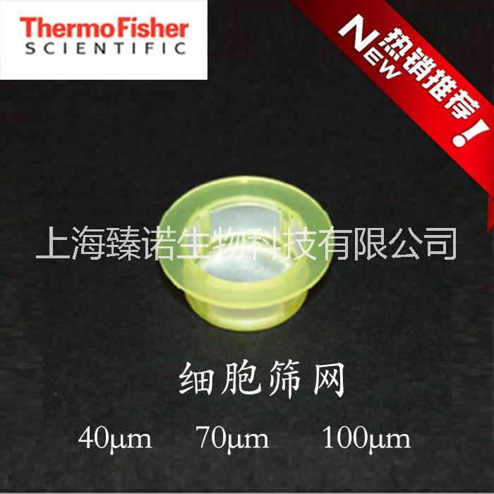 【Thermo】Fisherbrand 细胞过滤网 细胞筛网 40um 70um 100um