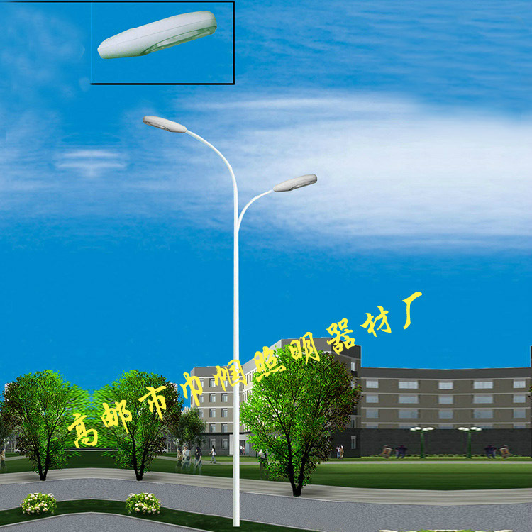 12米路灯灯杆  工业小区 厂区 公园 小区 广场照明巾帼12米路灯灯杆图片