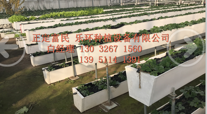 蔬菜基质栽培架  草莓立体栽培槽  草莓育苗槽
