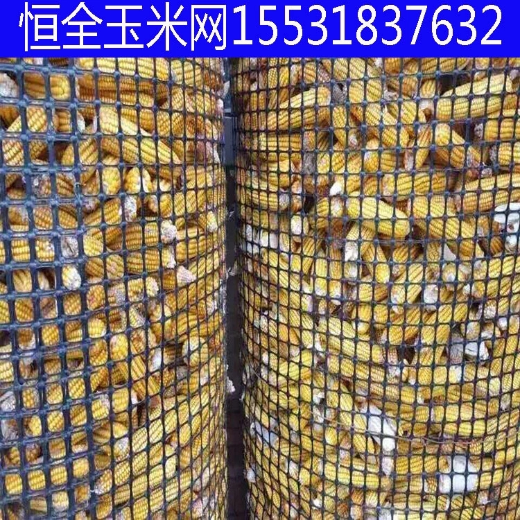 圈玉米塑料网批发