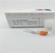 凯基 BCA蛋白浓度测定试剂盒 KGP902