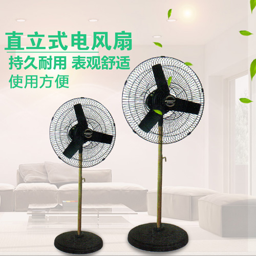 上海东玛 FG直立式电风扇 FG