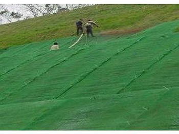 德州市土工网垫厂家双向拉伸土工格栅 土工网垫