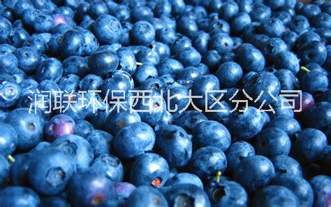 诺福蓝莓饮料细菌专杀剂NW7