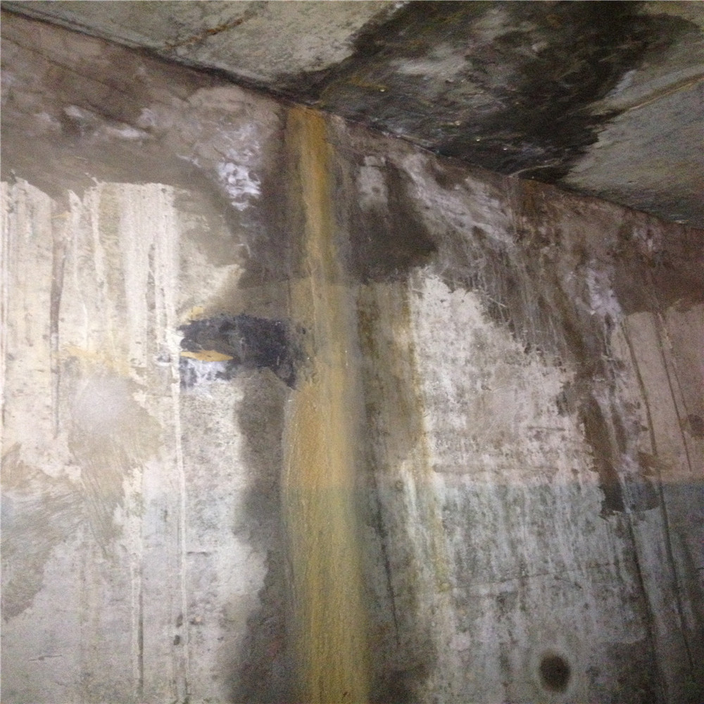 杭州市西湖区专业地下室堵漏的公司图片