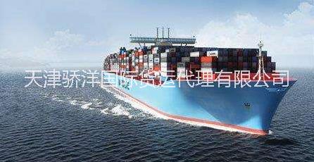 印度进口到天津港运费推广图片