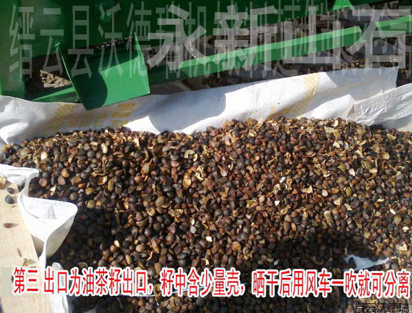 丽水市油茶果剥壳机安装厂家油茶果剥壳机安装报价生产厂家