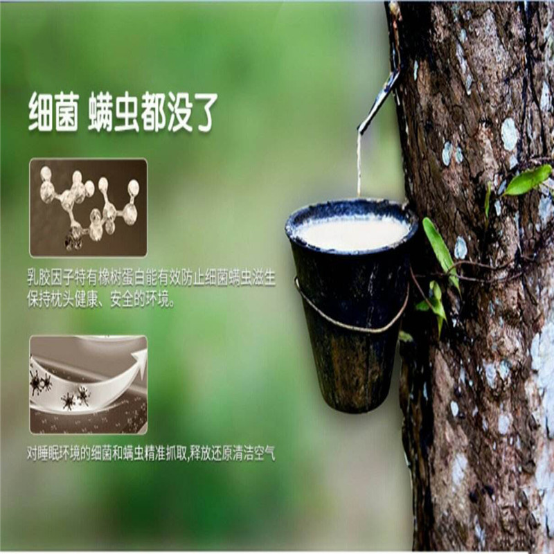 厂家直销 泰国三棵树天然乳胶 优质环保天然 厂家现货 天然乳胶 优质环保天然图片