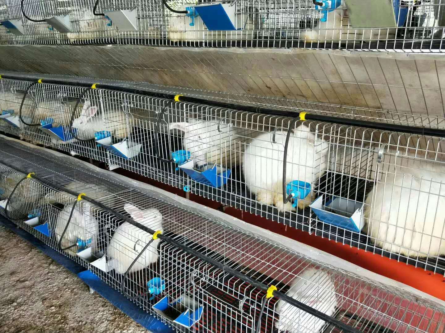 兔子养殖笼兔舍兔窝厂家直销图片