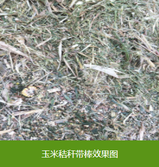 汉中市反刍动物草料饲料厂家厂家