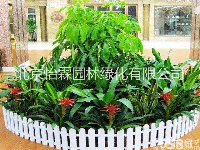 北京绿植租摆花卉租赁公司