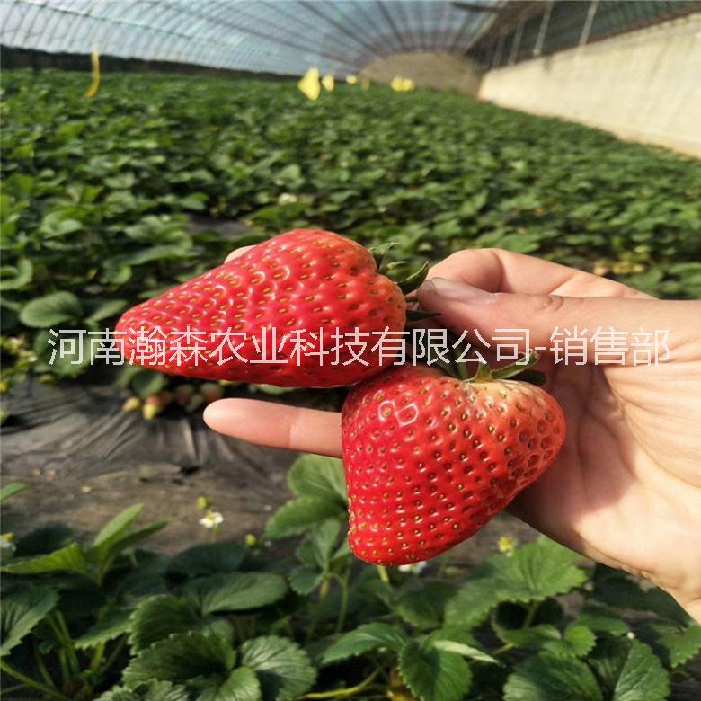 郑州市12元素液体肥厂家12元素液体肥_12元素液质复合肥厂家