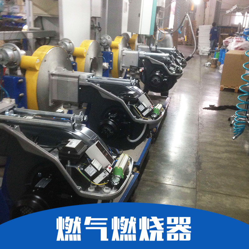RS310燃烧器厂销售生产定制价格（上海业曦实业有限公司）图片